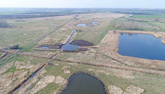 Wetland Restoration Thumbnail