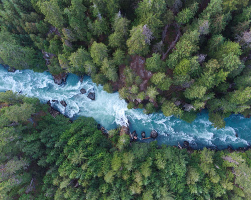 Aerial view of a stream flowing through a forest