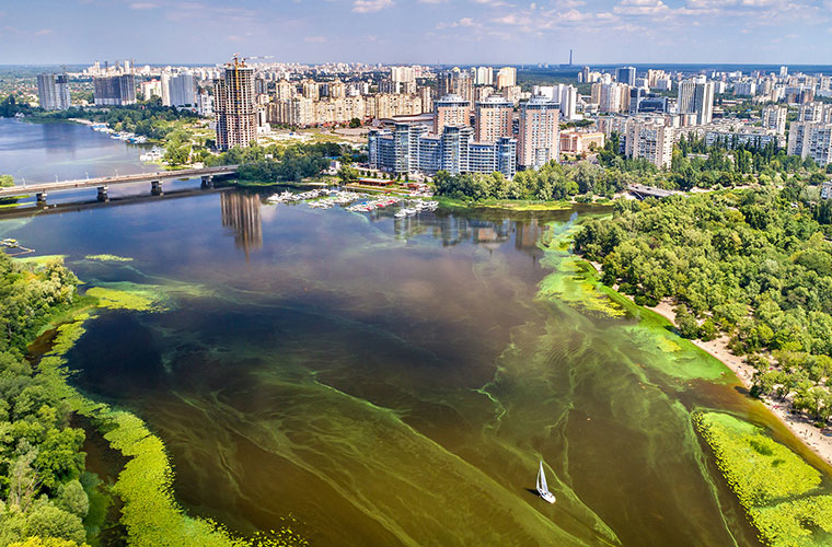 A Harmful Algal Bloom (HAB) in a river with a city in the background.