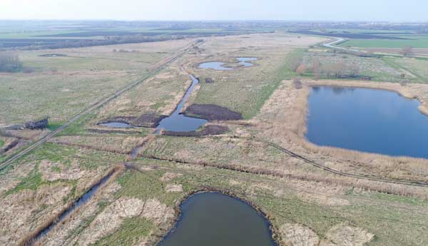 Wetland Restoration