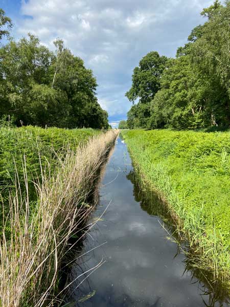 The Great Fen