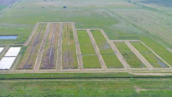 Wet Farming Trials